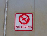被淹没与被拯救的读后感摘抄