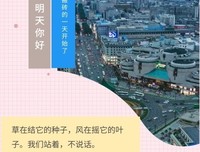 《一片叶子下生活》读后感摘抄