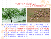 世界和它的悲欢读后感100字