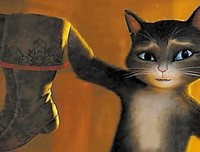 猫猫天堂经典读后感有感