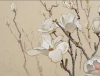 《花木集：戴泽花卉艺术收藏本》读后感摘抄