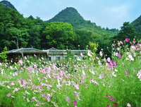 《 蝶恋花 ╮》的句子