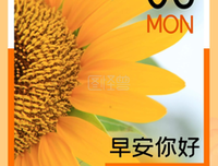 关于你好，这个天如而生时的句子