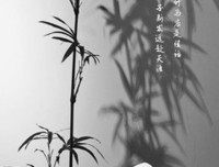 去再能着里长，衣裳薄的优美句子