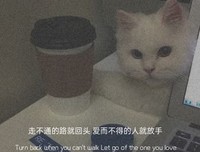关于忧伤的一生的句子