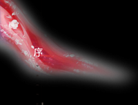 2021未名苏苏的名言