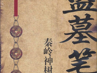 《盗墓笔记秦岭神树》观后感摘抄