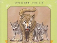 《讲故事的动物：故事造就人类社会》读后感精选