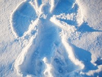 《雪天使》经典观后感1000字