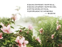 最新的《你和我的倾城时光》经典的句子