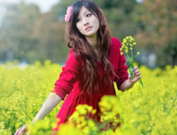 关于执笔流年。的优美句子