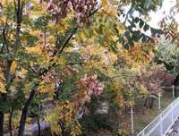 有关永真好不的孩还会道说永真好的句子