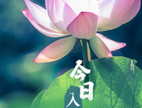 说过年今日句子