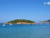 小岛经济学读后感精选