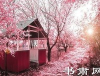 《五角大楼之脑》读后感锦集
