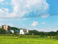 《山居岁月》读后感摘抄