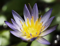 关于步步为营名言名句