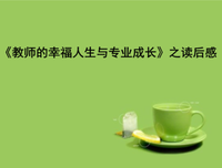 《幸福的流失》经典读后感有感