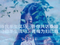 爱情伤感句子