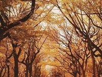 简简单单//的句子