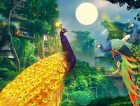 最全的《孔雀森林》小说句子
