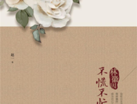 林徽因：不慌不忙的坚强（平装）读后感锦集