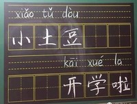 《我读：温一壶月下酒》读后感100字