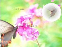 专心致志的句子