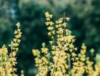 断舍离·人生清单经典读后感有感