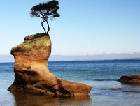 浪漫的温馨经典名句