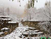 关于大雪纷飞的语句
