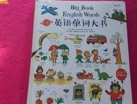 《英语单词大书》读后感锦集