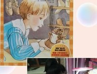 灰舞鞋读后感1000字