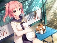 《山顶上的男孩》读后感摘抄