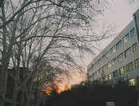 白头如新（中国古代）句子