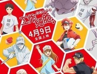 《工作细胞：细胞大作战》经典观后感有感