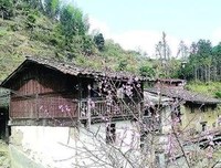 《寂静深处有人家》读后感摘抄