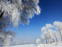 蒋森林经典句子