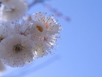 最新的明前雨后的名言名句