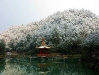 仙城。鬼看年优美的句子