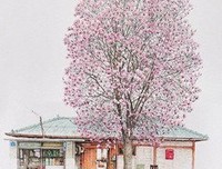 时光，不代表爱情。经典的句子