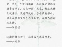 喜欢句的句子