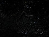 最经典的落雨言臣的名言