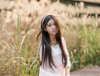 《彼岸花开》经典的句子大全