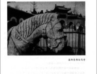 《禅的行囊》的读后感大全