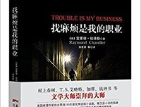 《找麻烦是我的职业》读后感1000字