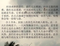 岩石堡风景读后感精选