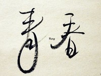 孤独这种病，遇见你就好了读后感精选