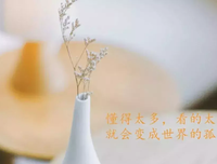 懦弱于心的句子