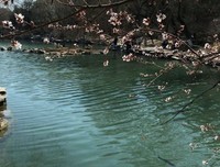 未名句子大全